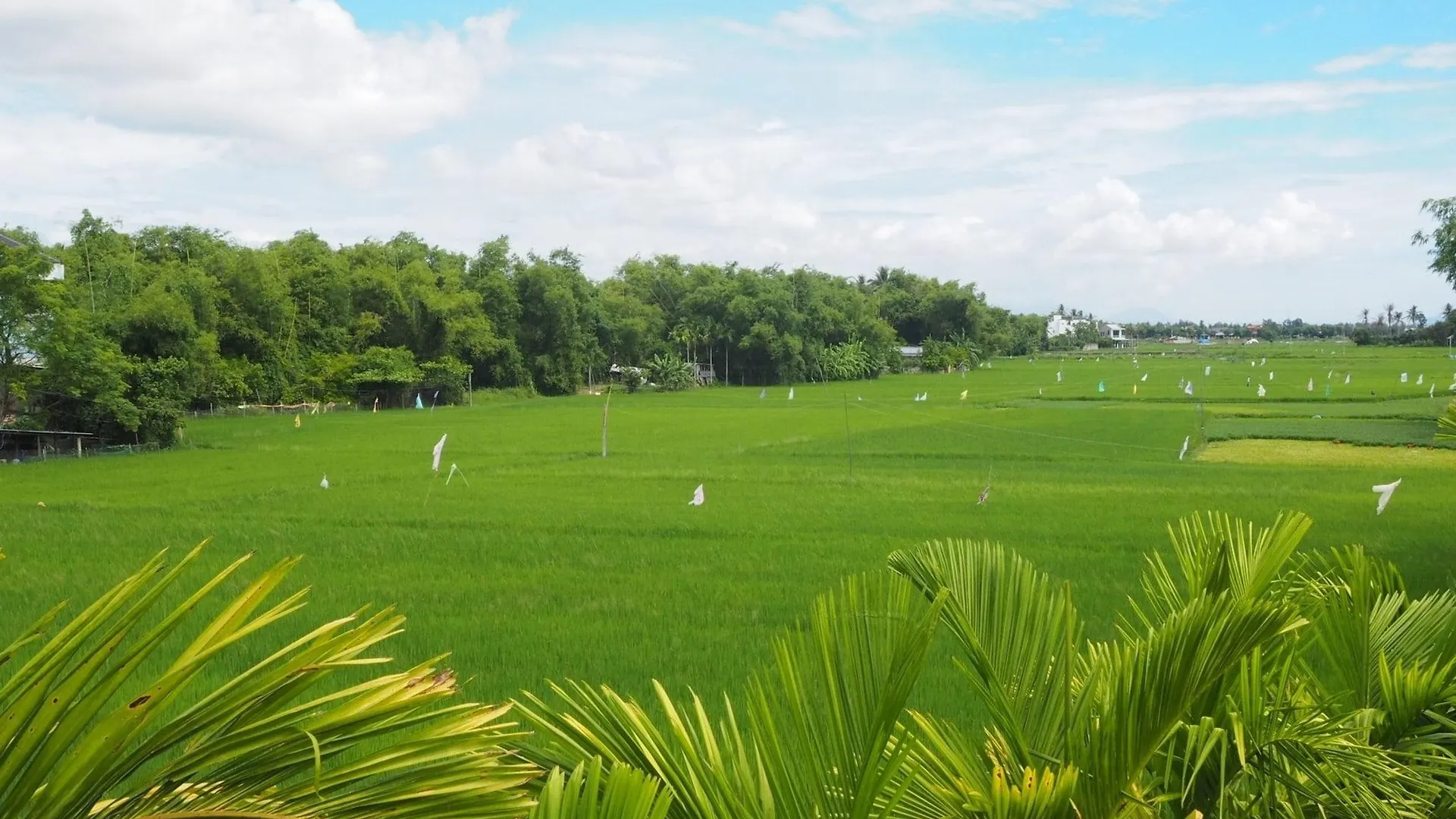 Hotel Azumi Hoi An